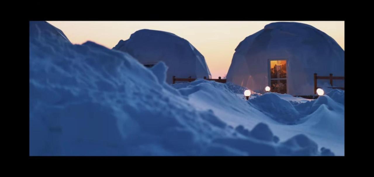 Glamping Pasieka Namiot Glamp Bukowina Tatrzanska - Domki W Gorach Groń Exterior foto