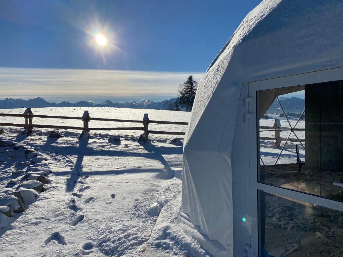 Glamping Pasieka Namiot Glamp Bukowina Tatrzanska - Domki W Gorach Groń Exterior foto