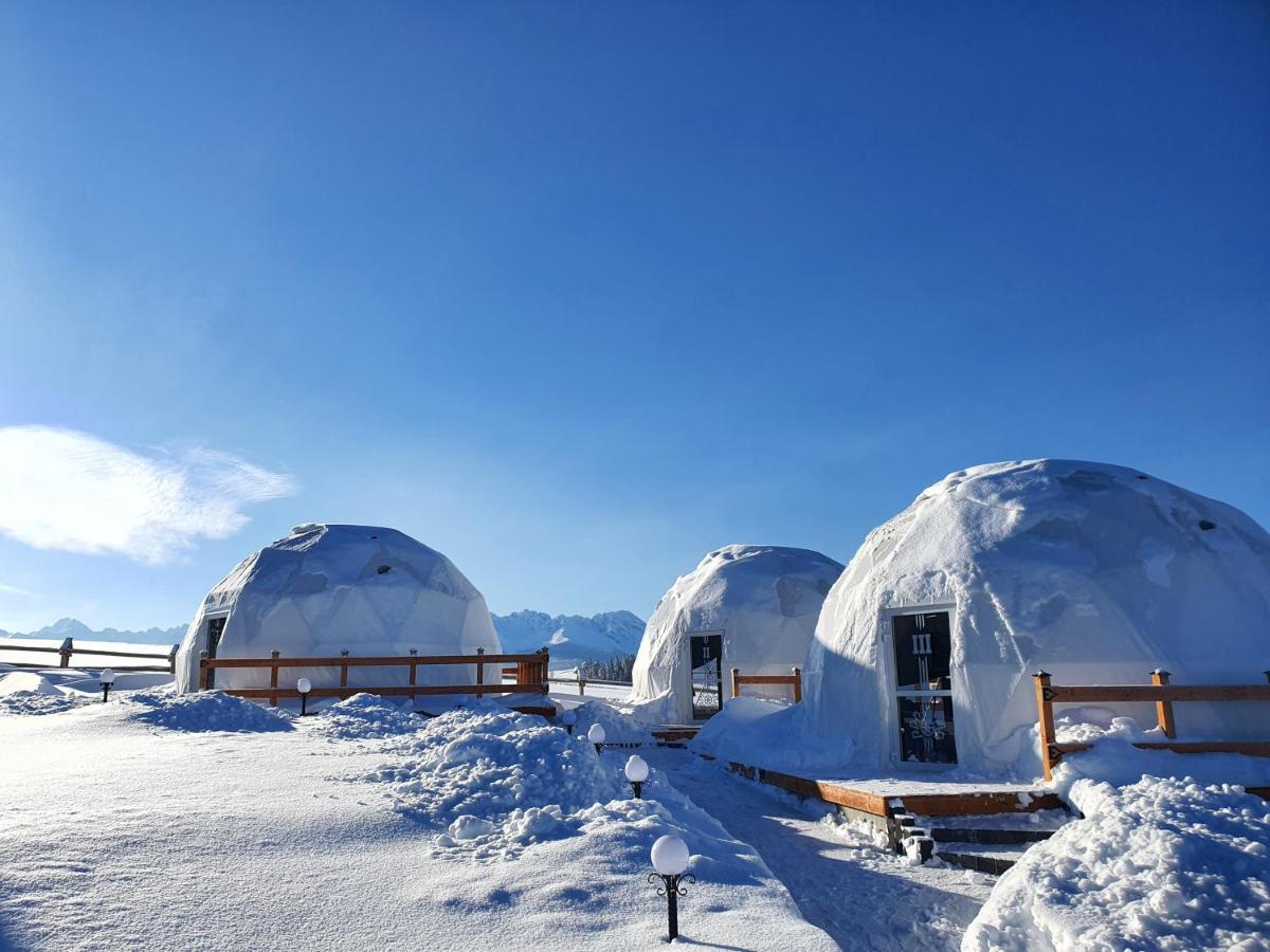 Glamping Pasieka Namiot Glamp Bukowina Tatrzanska - Domki W Gorach Groń Exterior foto
