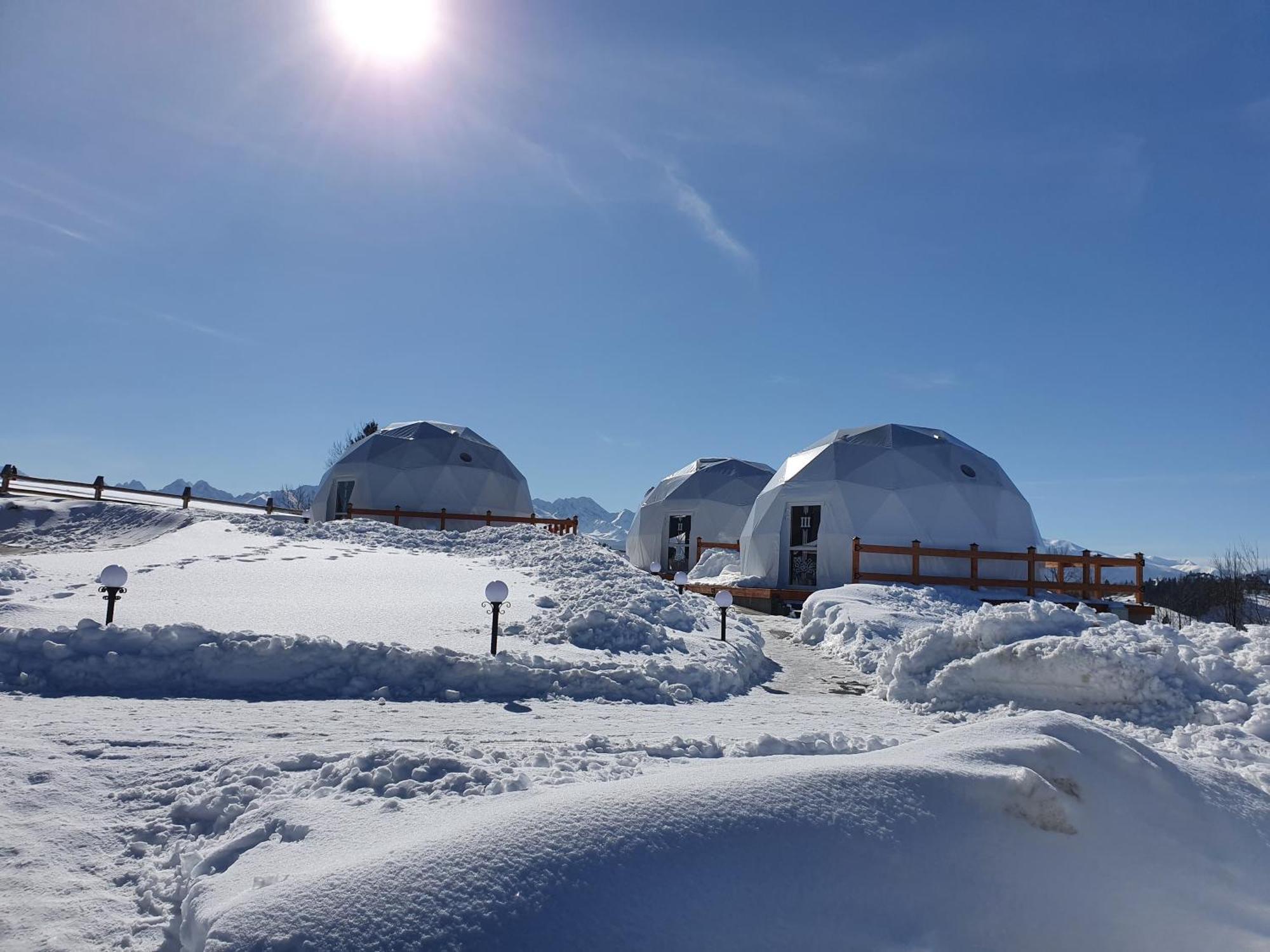 Glamping Pasieka Namiot Glamp Bukowina Tatrzanska - Domki W Gorach Groń Exterior foto
