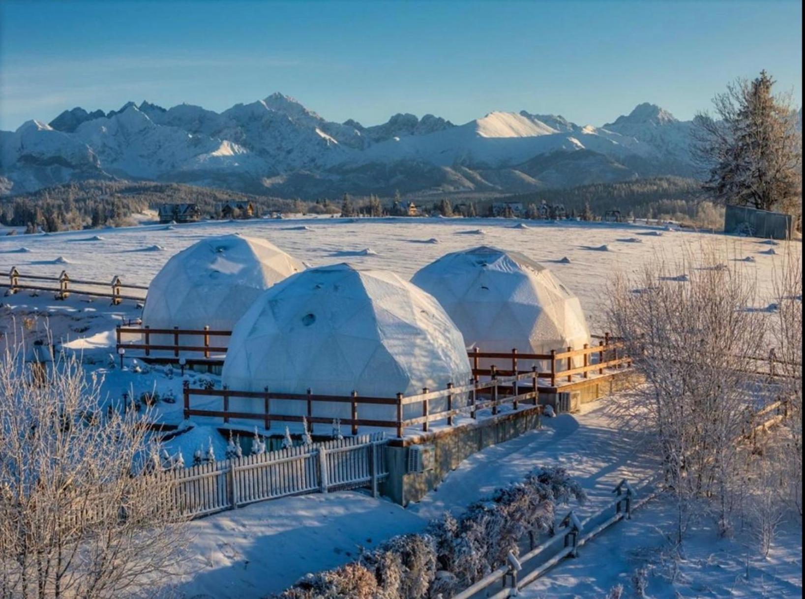 Glamping Pasieka Namiot Glamp Bukowina Tatrzanska - Domki W Gorach Groń Exterior foto